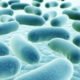 AS/NZS 3666 - Legionella Control Australia