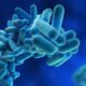 What are the Symptoms of Legionnaires Disease