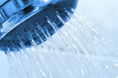 Dirty Shower Heads Could Be Deadly! Dangerous Bacteria and Fungi