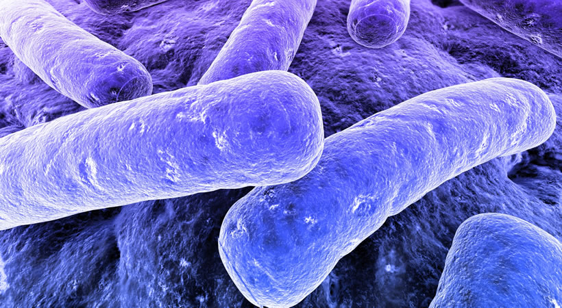 Legionella in care homes