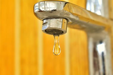 Pseudomonas in hospital water systems