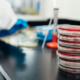 Legionella testing technologies and stacked agar plates used for culture testing